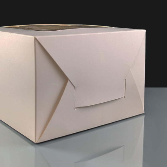 Windowed Cake Box with Christmas Cake Windowed Cake Box with Christmas Cake