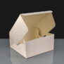 C0031 - Quick Service Cake Boxes - Plain 6x6x4
