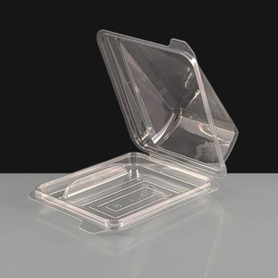 Clear Plastic Hinged Cake Wedge Plastic Hinged Cake Wedge