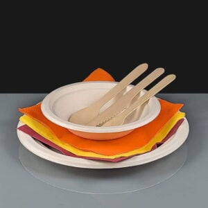Disposable Tableware