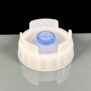 Large Dispenser Cap for FIFO Bottles