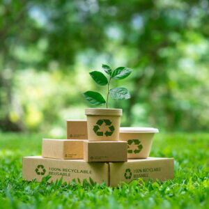 Compostable Eco Packaging