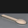 Premium White Compostable Bagasse Spoons