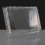 Large Plastic Sandwich Platter Lid