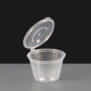 4oz Hinged Lid Deli Pot