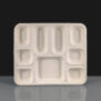 9 Compartment Bagasse Meal Tray