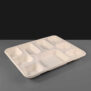 9 Compartment Bagasse Meal Tray