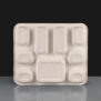 9 Compartment Bagasse Meal Tray