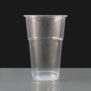 dvppcptb Disposable Pint Glass