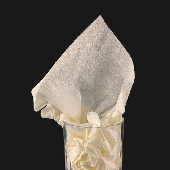 2 ply Champagne Napkin 3324cp 2 ply Champagne Napkin